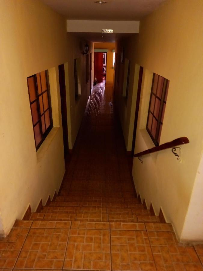 Hostal Don Gato Granada Exterior photo